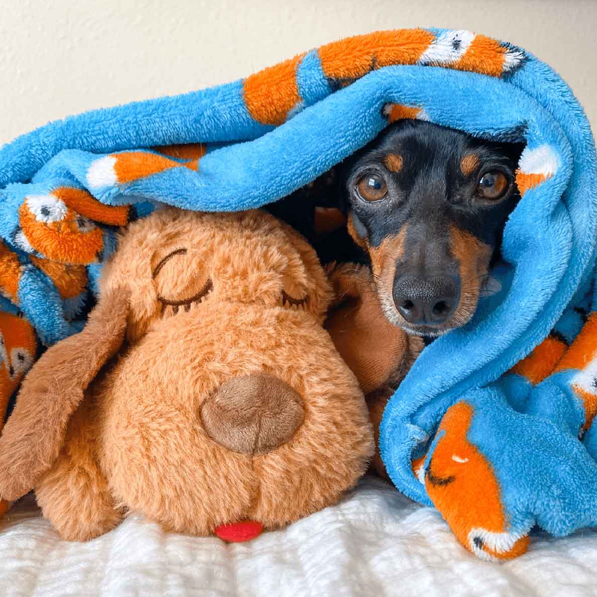 Original Snuggle Puppy®