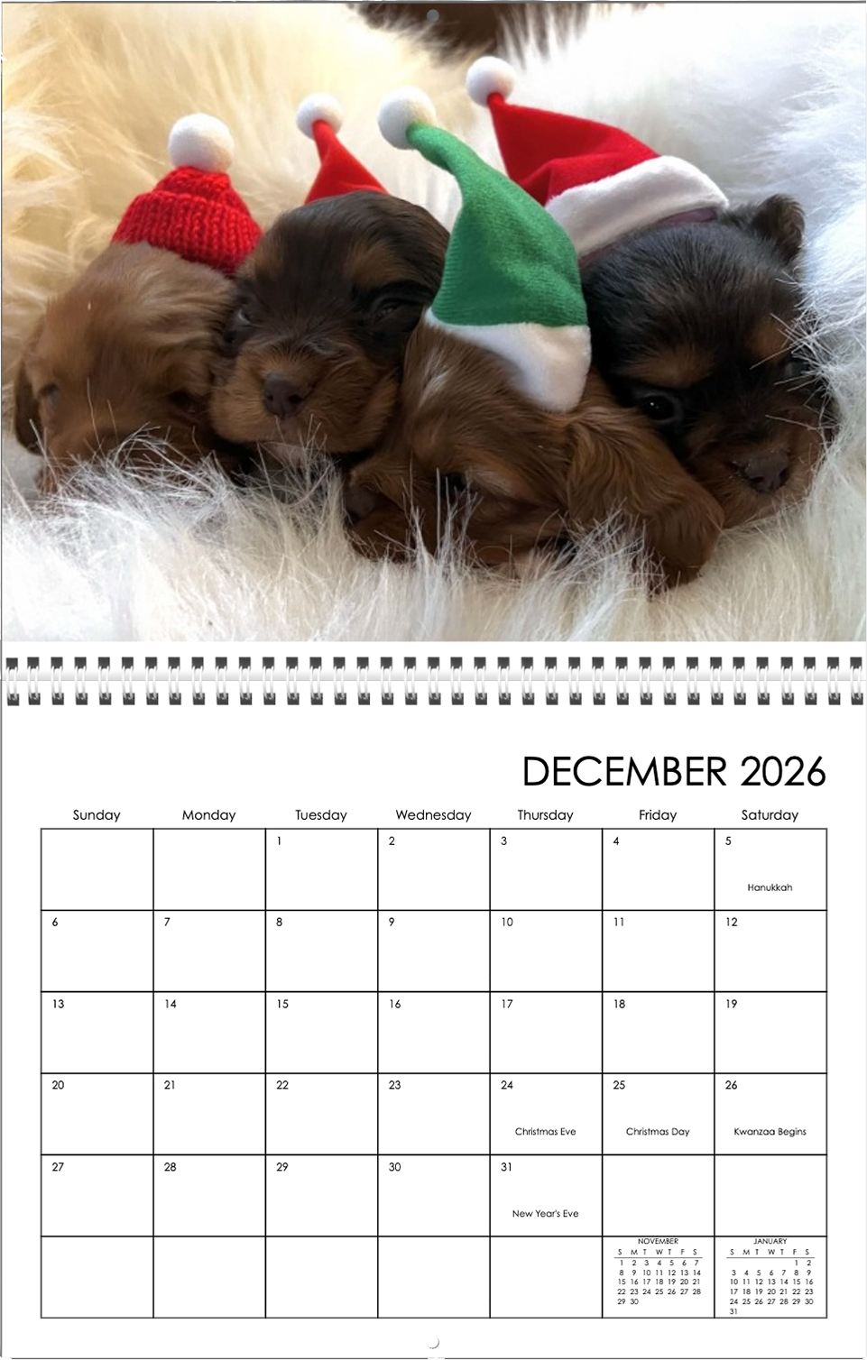 2026 Wall Calendar