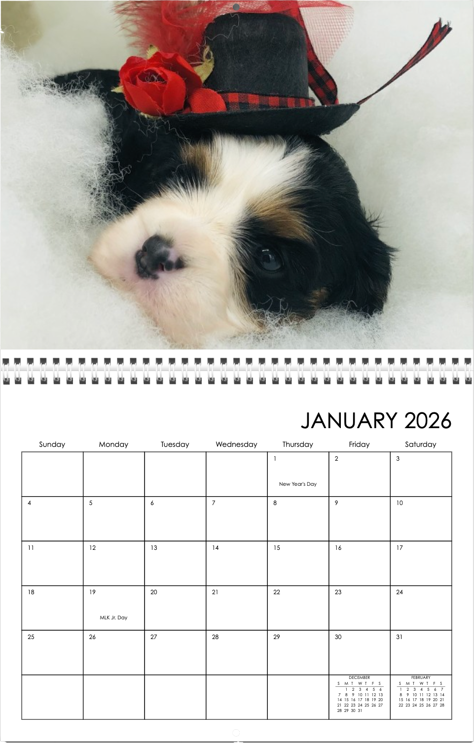 2026 Wall Calendar