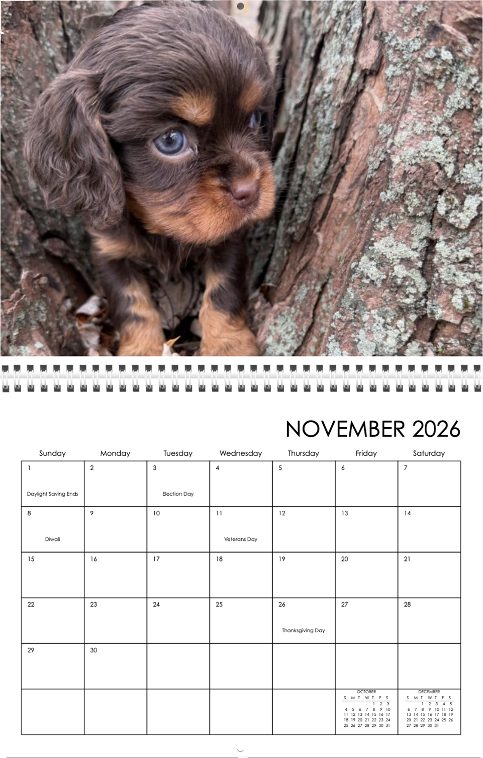 2026 Wall Calendar